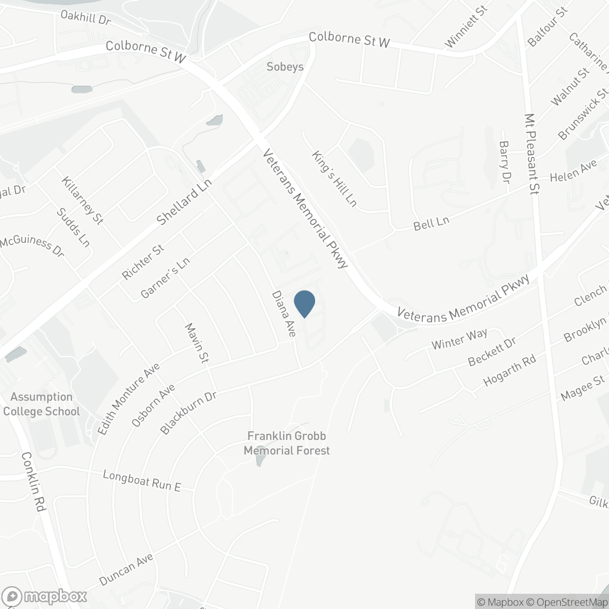 77 DIANA Avenue Unit# 158, Brantford, Ontario N3T 0R6